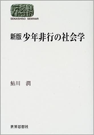 書籍新版 少年非行の社会学(鮎川 潤/世界思想社)」の表紙画像