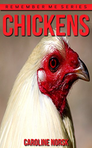 書籍Chicken: Amazing Photos & Fun Facts Book About Chickens For Kids (Remember Me Series)(Caroline Norsk/(English Edition)(Kindle) Caroline Norsk)」の表紙画像
