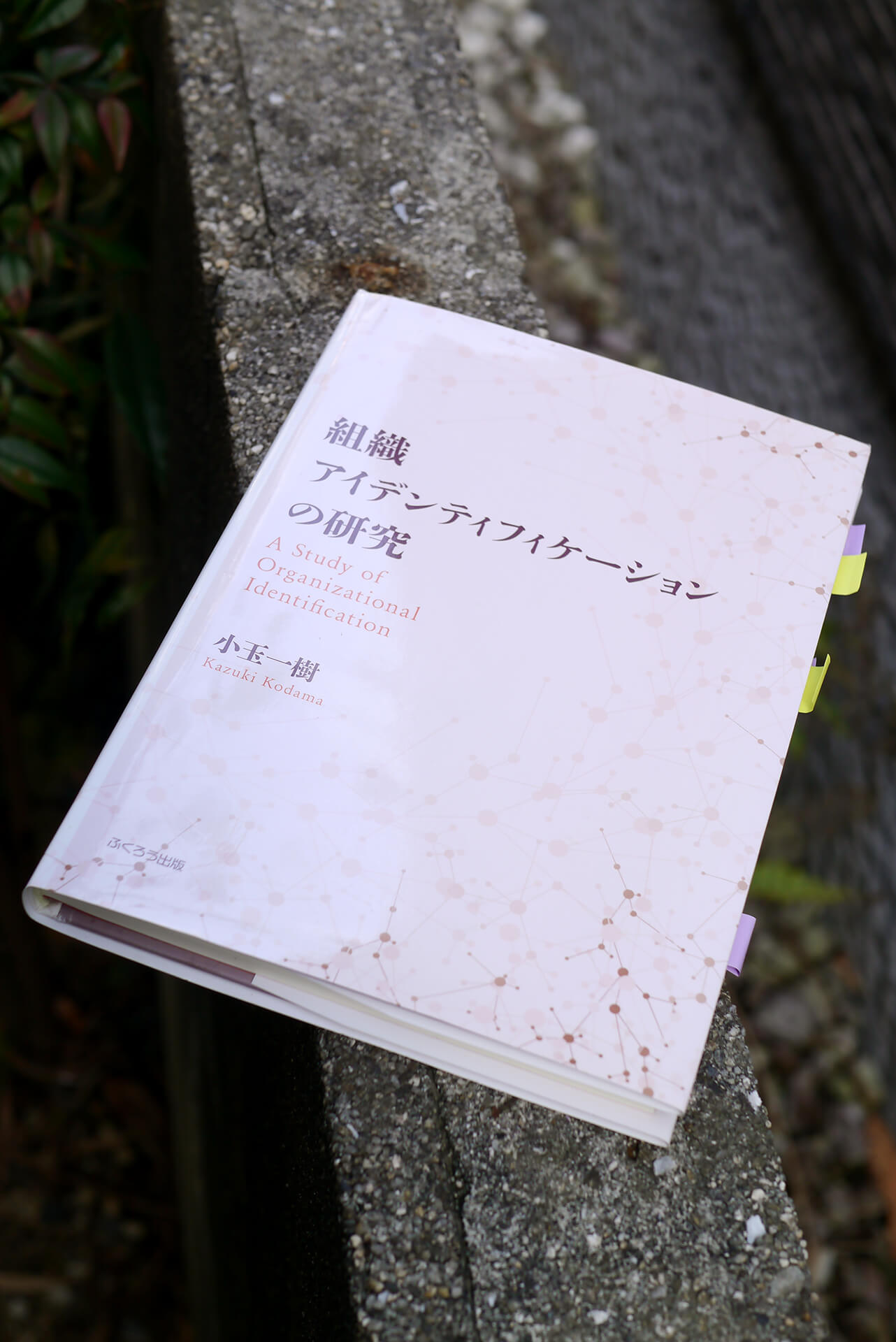 書籍組織アイデンティフィケーションの研究(小玉 一樹/ふくろう出版)」の表紙画像