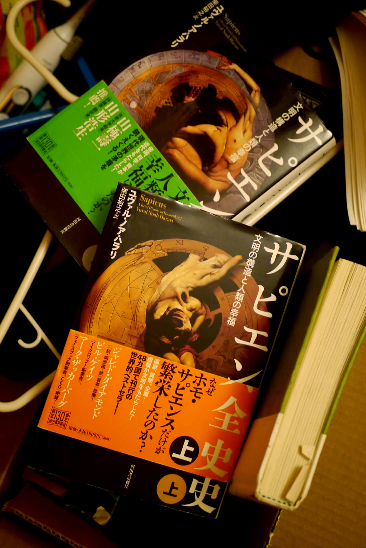 書籍サピエンス全史（上・下）文明の構造と人類の幸福(ユヴァル・ノア・ハラリ  (著), 柴田裕之 (翻訳)/河出書房新社)」の表紙画像