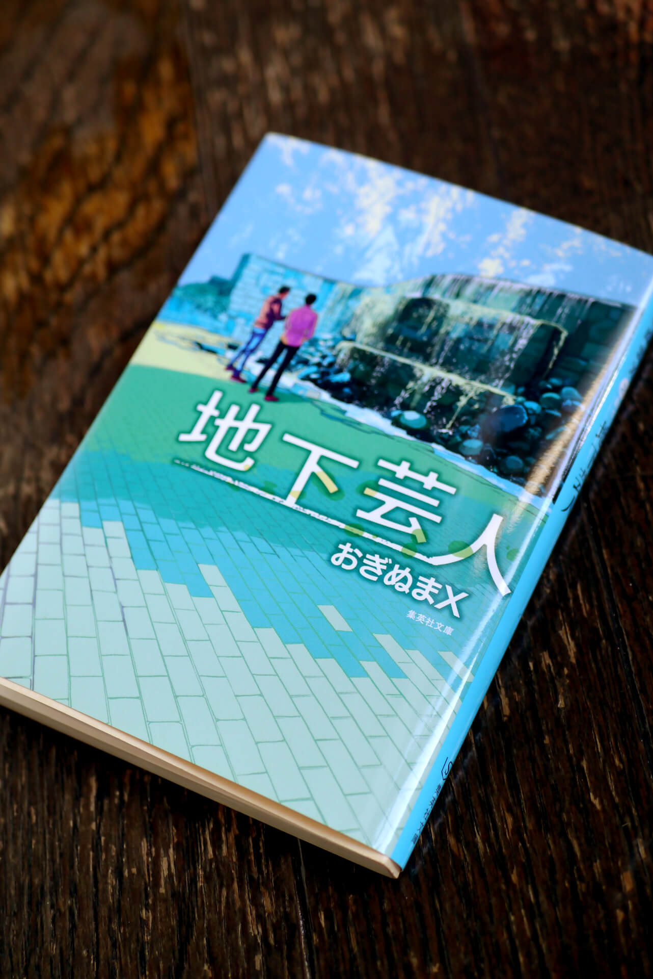 書籍地下芸人(おぎぬまX/集英社)」の表紙画像