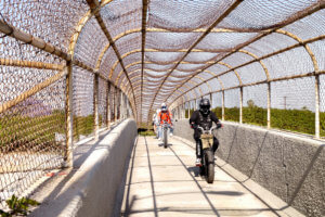 Biker on the footbridge in Vermont Ave in LA