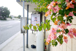 Flower and murder poster on a bus stop in Torance