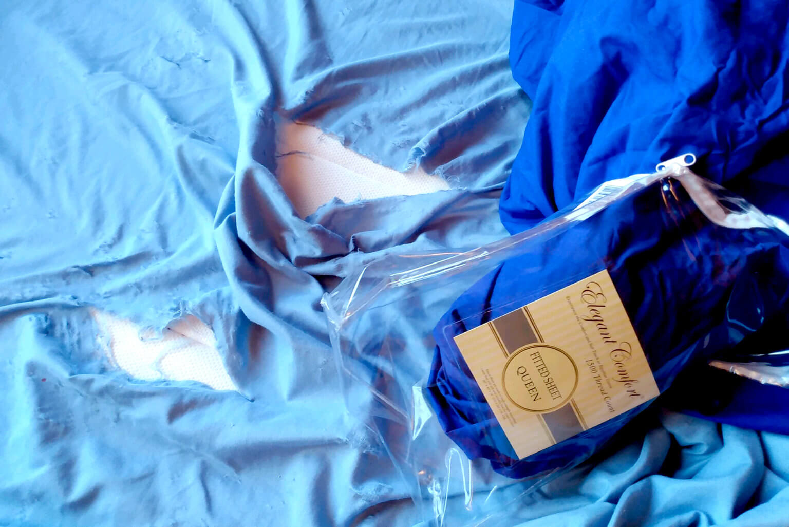 Getting a Sheet Really Diary Contemporary Artist Tomoni Shintaku BLOG