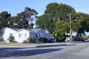 big-trees-and-houses-under-bluu-sky-in-california_2020