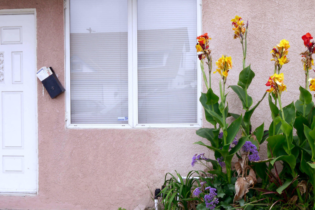 house-wall-and-flowers_2020 house-wall-and-flowers_2020