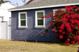 American home and red flowers in California