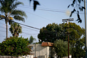 Green and houses Landscape in Los Angeles