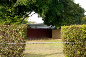 Tree and fence in the US