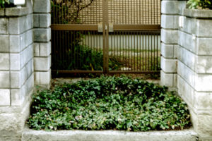 Full of green entrance in Hiroshima