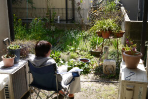 Mother shits chair at the home small green garden