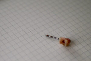 Removed tooth wire on the paper