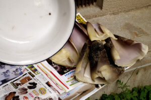 Bamboo shoot skin on the ground in Hiroshima Japan