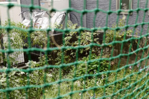 Green net and garden on rainy day in Hiroshima Japan