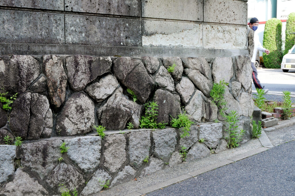 A man who ware masks walking behind the stone hedge ishigaki in Hiroshima Japan