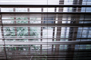 Green garden seen through the window blinds