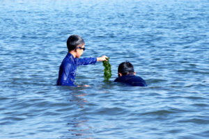 A Kid has a sea weed, children in the sea