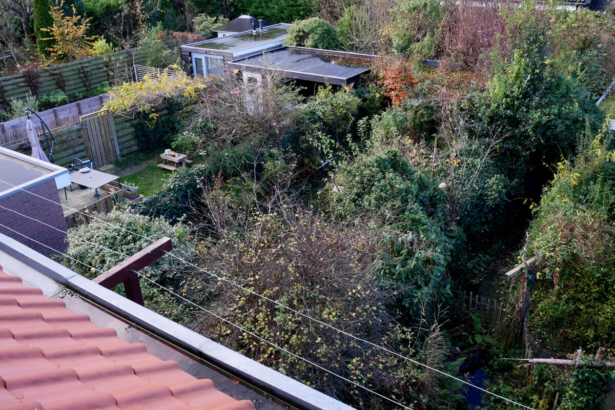 View from the window Netherlands Castricum View from my room's window