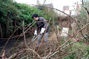 A man cutting tree branch in the Dutch garden in Castricum