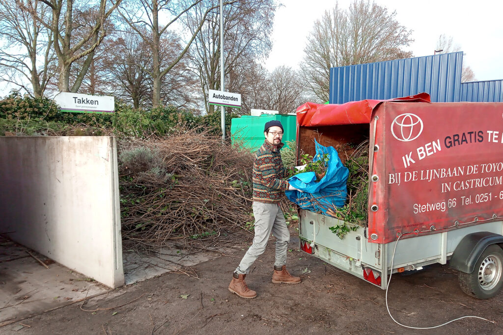 Bring down cut plants from Toyota trailer