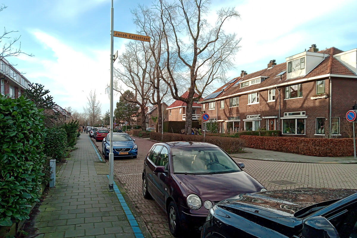 Parking Cars on the street in the Netherlands