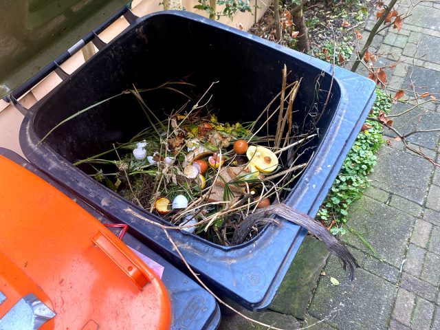 Inside the trash, mainly kitchen waste in the Netherlands