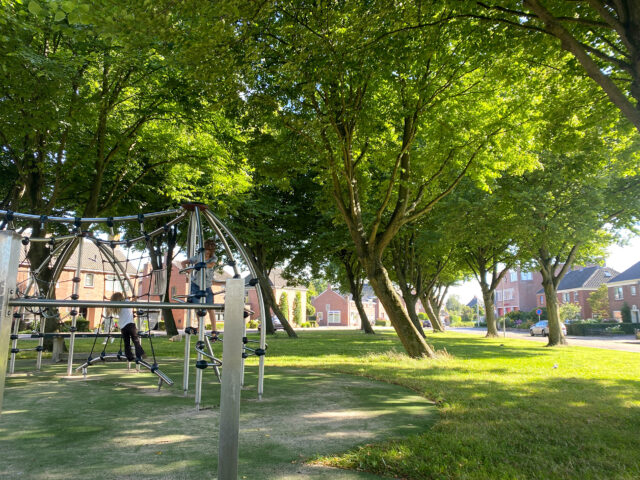 green park, there are Dutch children on the play ground