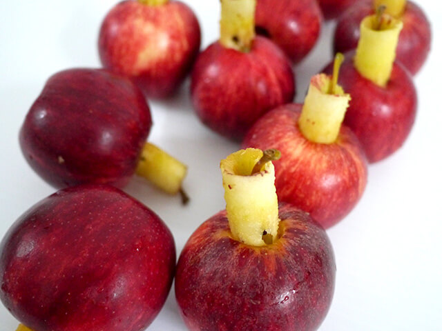 Photographing elements for the Apple series