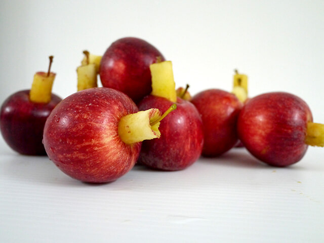 Photographing elements for the Apple series