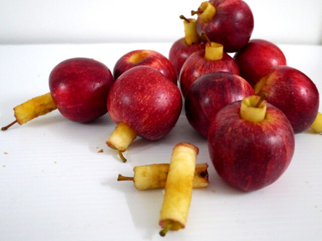 Photographing elements for the Apple series