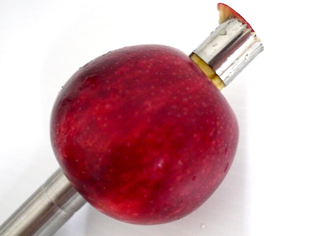 Photographing elements for the Apple series