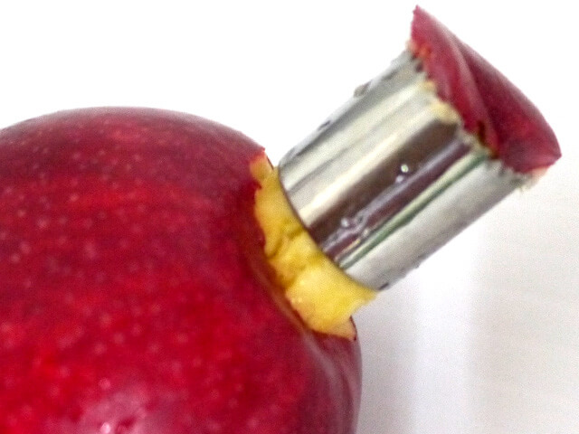 Photographing elements for the Apple series