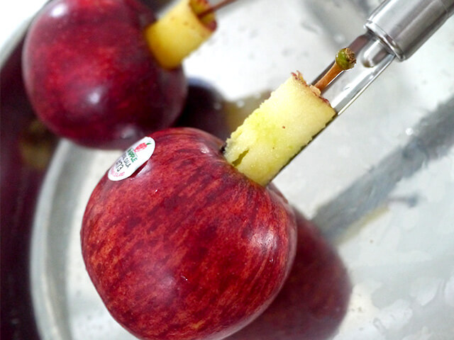 Photographing elements for the Apple series