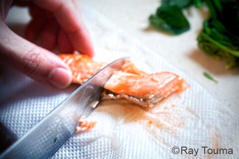 BENTOという哲学または生き方、日本の伝統文化である弁当をモチーフとした作品の写真素材撮影