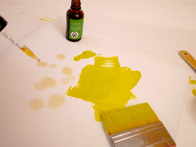 たいままんじゅうの写真素材