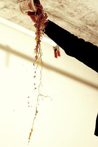 牛丼の滝/カップヌードルの滝の写真素材撮影