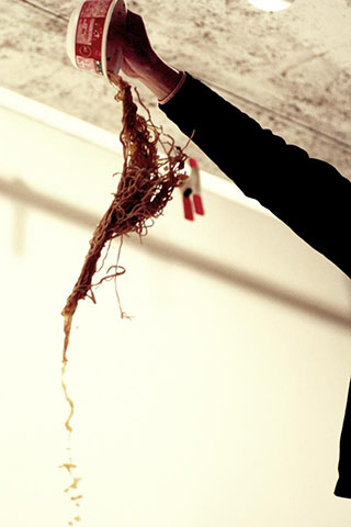 牛丼の滝/カップヌードルの滝の写真素材撮影