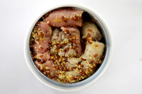 japanize!日本の国旗、日の丸をモチーフとした作品の写真素材撮影