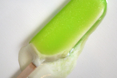 Photographing elements for the Keep Frozen series