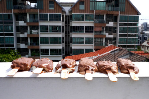 Photographing elements for the Keep Frozen series