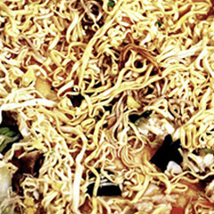 Photographing elements for the the Streams of Gyudon/Streams of Instant Noodles series border=