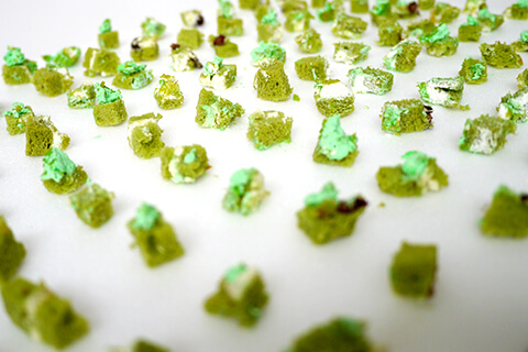 みんなで食べようの写真素材撮影