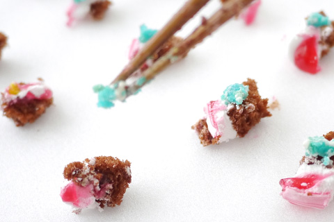 みんなで食べようの写真素材撮影