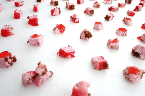 みんなで食べようの写真素材撮影