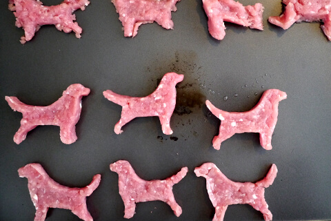 謎肉の写真素材撮影