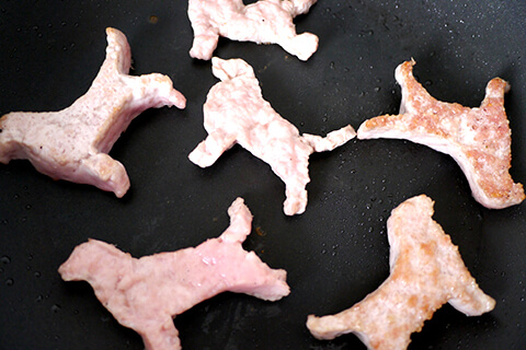 謎肉の写真素材撮影