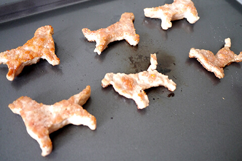 謎肉の写真素材撮影