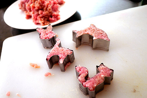 謎肉の写真素材撮影