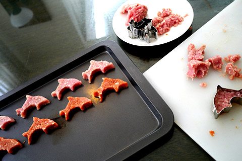 謎肉の写真素材撮影