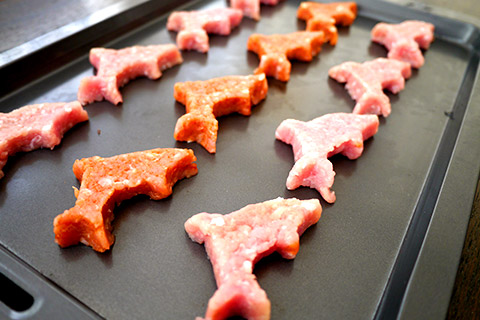 謎肉の写真素材撮影